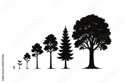 Growth stages of trees silhouette illustration