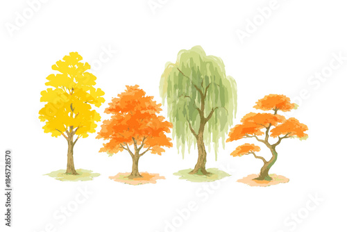 Watercolor autumn trees: yellow, orange foliage and green weeping willow