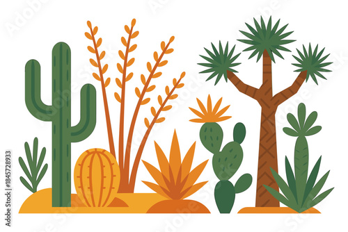 Desert plants with cacti and succulents in vibrant colors