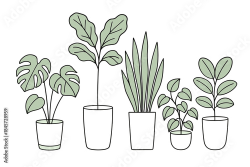 Minimalist illustration of various potted houseplants with green leaves