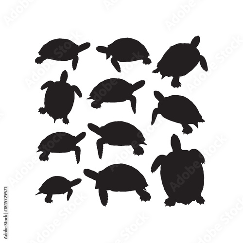 Turtle Silhouettes Collection,Turtles Silhouettes,Vector Turtle Silhouettes,Reptile Turtle Silhouettes,turtle vector