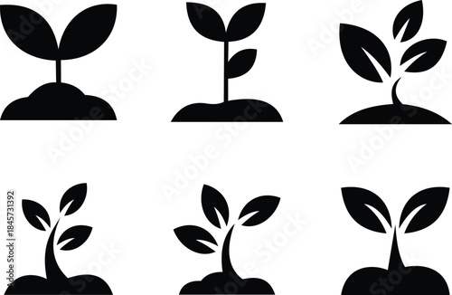 Set of six black silhouette icons for seedling growth and sprouting plant
