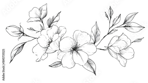 Botanical Illustration of Plant with Flowers and Leaves in Vector Style Outline