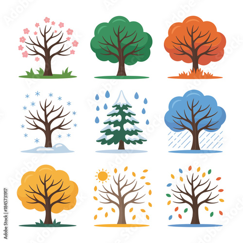 Four season tree icon collection, blooming snowy leafy bare trees, weather change nature theme, modern flat vector illustration