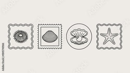 Black and White Seashell and Starfish Stamp Illustrations