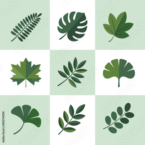 Green leaf pattern illustration set featuring monstera fern ginkgo maple botanical flat vector design collection