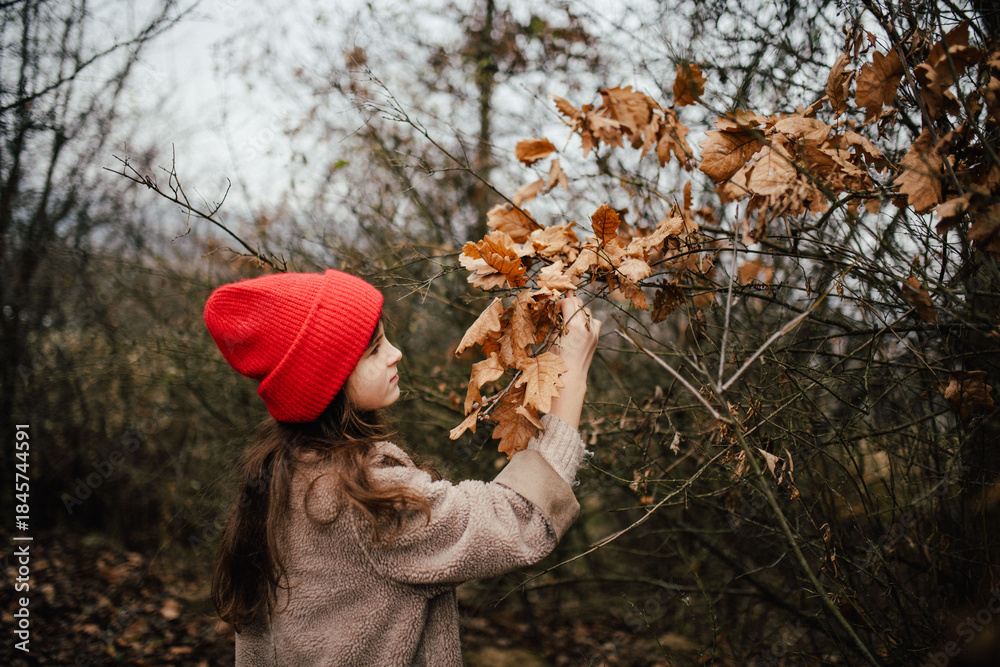 Naklejka premium Autumn portrait of girl in forest, examinig dry leaves.