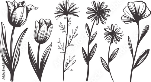 Black and white hand drawn collection of tulips and daisies