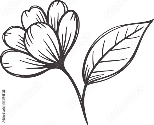 Black and white hand drawn tulip flower and leaf botanical