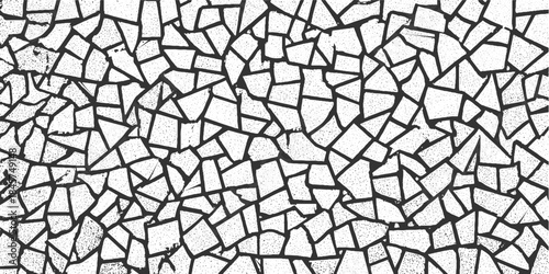 Black and white abstract pattern of irregular fragmented shapes with speckled texture and thick dark outlines