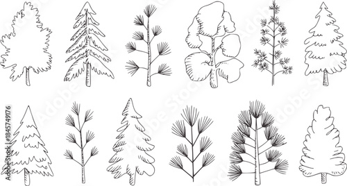 Hand drawn black and white diverse tree set trees branches