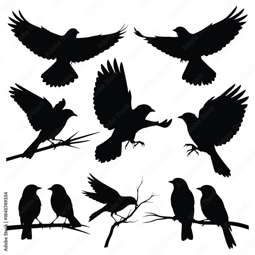 Obraz premium Silhouettes of birds in flight and perched on branches a dark aesthetic