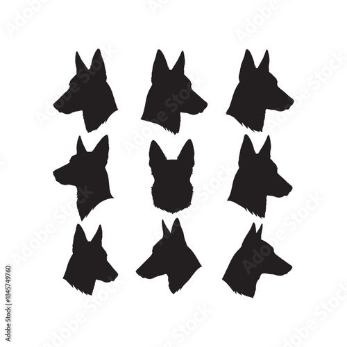 Belgian Malinois Head Silhouettes Collection,Belgian Malinois Silhouettes,Vector Belgian Malinois Head Silhouettes,Dog Head Silhouettes,belgian malinois vector
