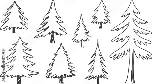 Seven handdrawn black pine trees white