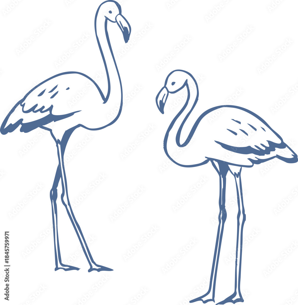 Obraz premium Hand drawn flamingos in simple blue line art style. Minimal tropical bird vector illustration with elegant poses. Nautical, coastal, nature graphic.