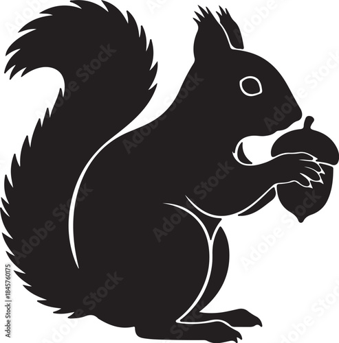 Black silhouette of a squirrel holding an acorn with a white background also transparent background