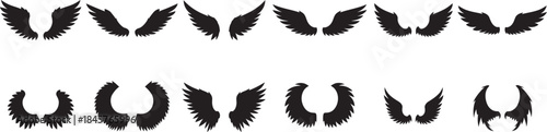 Collection of various wing illustrations and designs