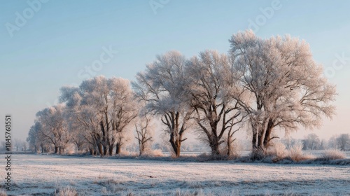 Wallpaper Mural Peaceful Winter Landscape with Frosted Trees Under Clear Blue Sky Capturing Nature's Tranquility and Beauty Torontodigital.ca