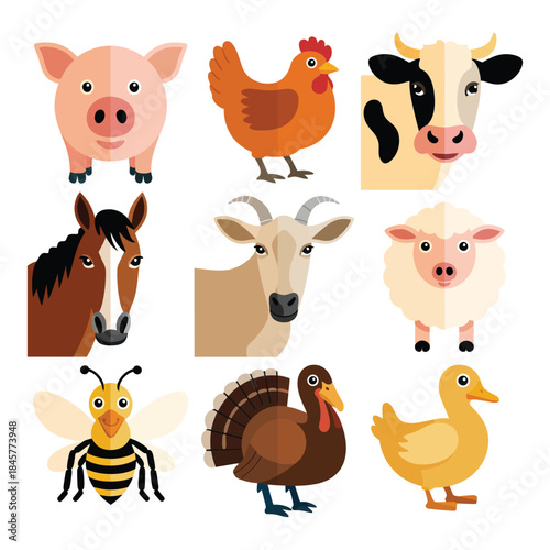 Domestic farm animals and poultry illustration set with pig cow goat sheep duck turkey bee rural flat vector design