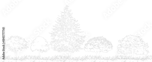 Tree Side View Vector Pack – Architectural Elevation Symbols for CAD Drafting