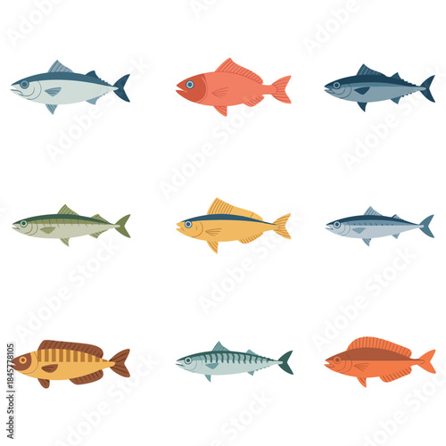 Marine fish variety illustration set featuring ocean species swimming profiles seafood wildlife flat vector design for educational use