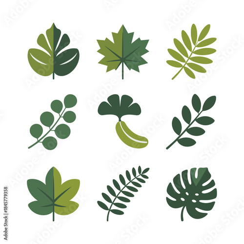 Plant leaf icon collection with assorted foliage branches tropical leaves nature flat vector illustration set