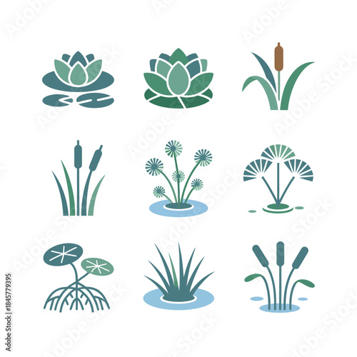 Aquatic plant icon collection with lotus water lily reeds marsh grass pond ecosystem flat vector illustration assets
