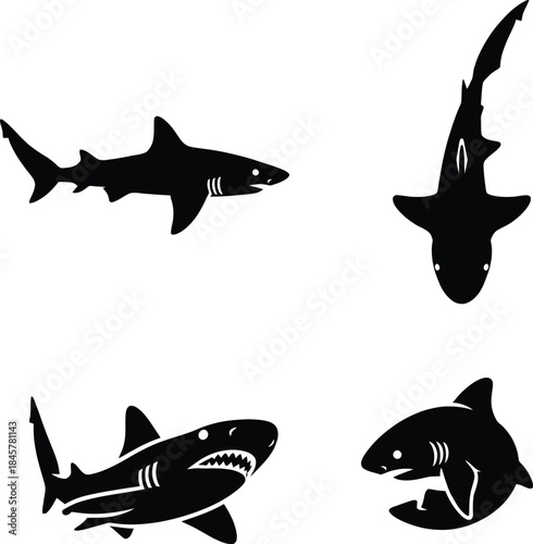 Vector silhouette illustration set of fearsome ocean predator great white sharks in various swimming poses and angles, marine life emblem collection.