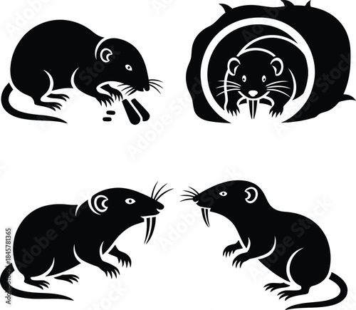 Vector silhouette illustration set of wild rat or mouse in various poses, including an aggressive one with an open mouth and bared teeth, pest animal collection.
