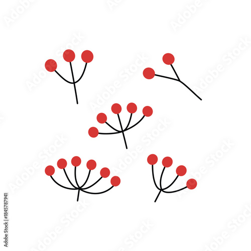 Hand Drawn Red Berry Sprigs Collection. Christmas Red Berry Twig Illustrations. Red Berry Sprigs Illustration