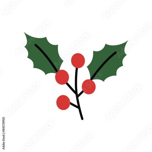 Festive Holly Branch With Red Berries. Holly spring. Christmas Holly Sprig with Red Berries. Red Holly Berry Botanical 