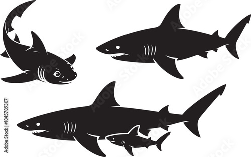 Shark family black silhouette isolated on transparent background vector illustration