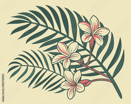 Vector illustration of tropical plumeria flowers and palm leaves in vintage style on a light background