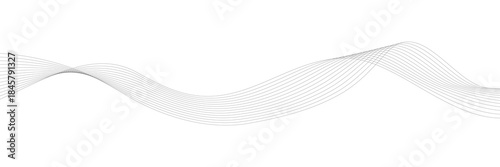 Flowing curves form dynamic abstract composition. Grey lines on white backdrop. Modern vector graphic for digital presentations and contemporary business templates.