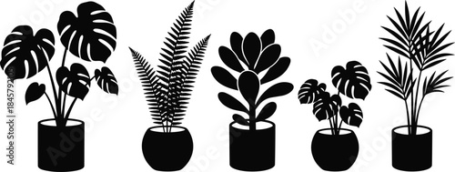 Potted plant silhouette set, black vector design, monstera, fern, succulent, palm leaves, indoor decor, botanical shapes, minimal style, illustration
