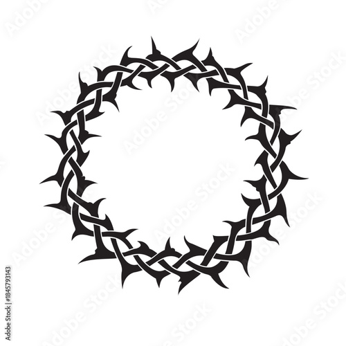 black crown of thorns image isolated on white background
