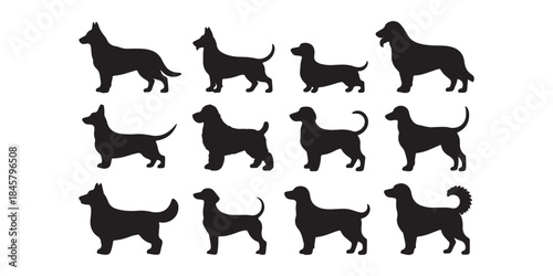 black dog silhouettes