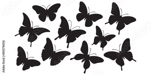 set of butterfly