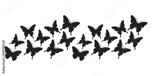 butterflies isolated on white background
