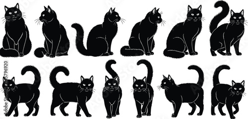 Black silhouette cat pose set with sitting, walking, and standing gestures for pet, lifestyle, and design themes.