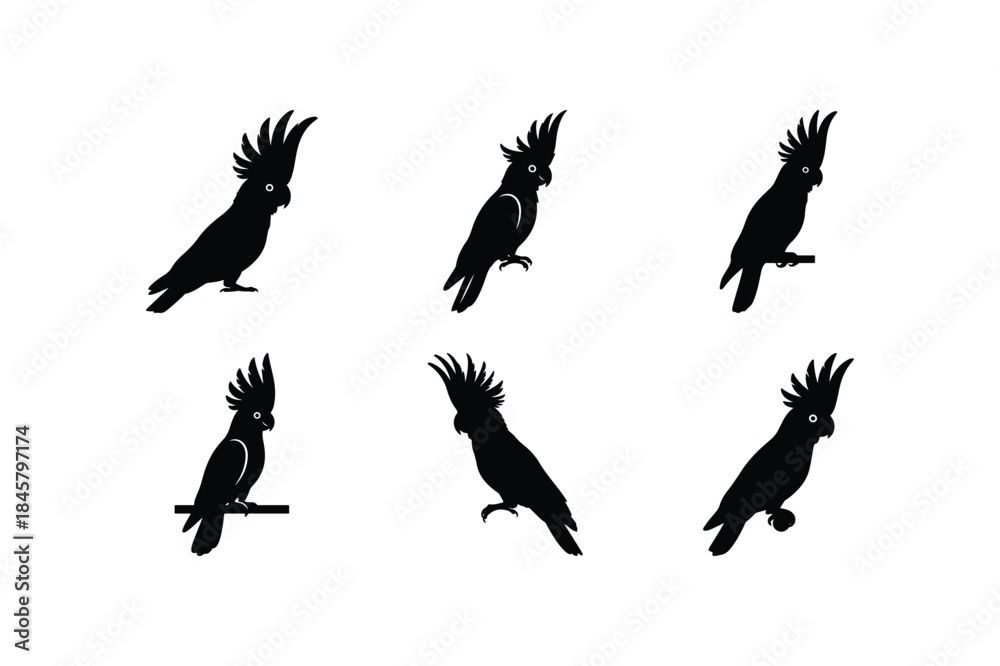 Fototapeta premium flying bird silhouette vector set