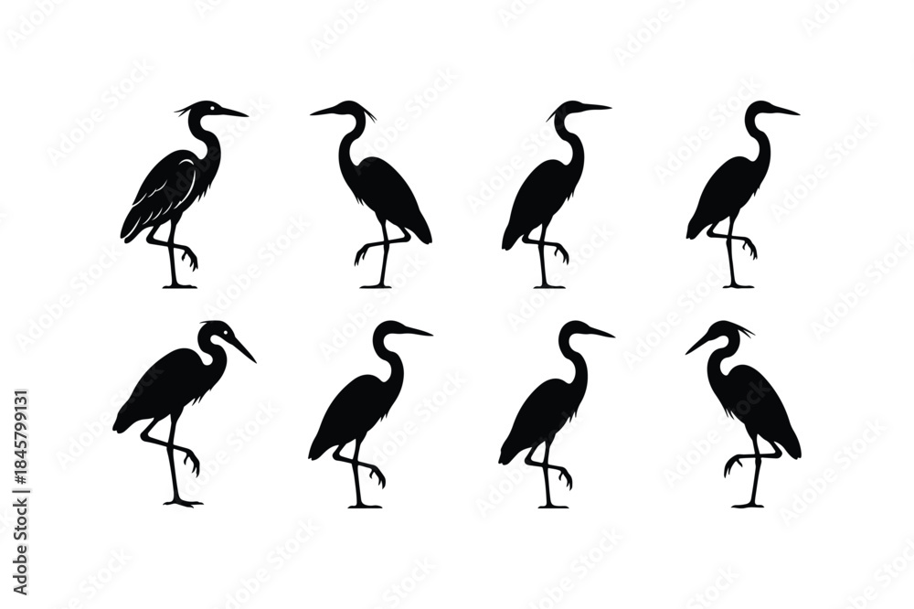 Obraz premium flamingo standing one leg silhouette vector set