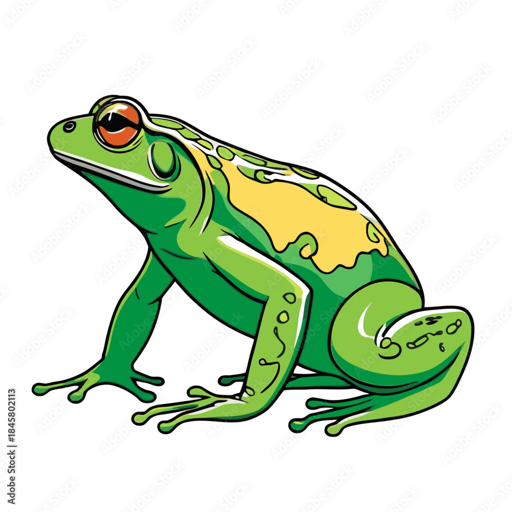 Fototapeta premium nice frog vector image 