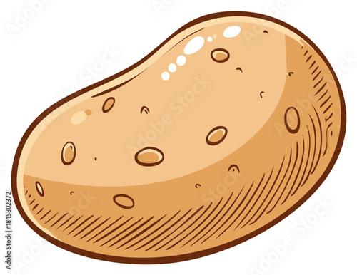 Single Hand Drawn Potato Vegetable Illustration with Eyes and Skin Texture