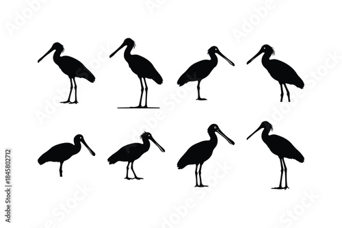 spoonbill flat beak silhouette vector set