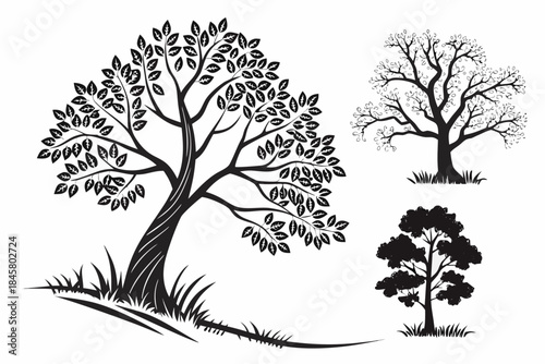 Empty vector file display