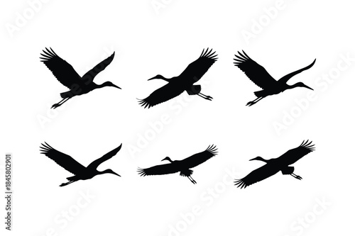 stork flying bird silhouette vector set