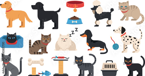 Colorful cartoon pets and pet accessories illustration