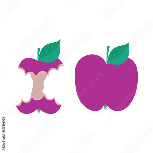 A bitten apple and a whole apple. Purple apples with green leaves. Isolated vector illustration on a white background.