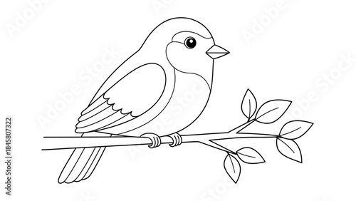 Simple Sparrow Illustration on a Branch with Clean Outlines